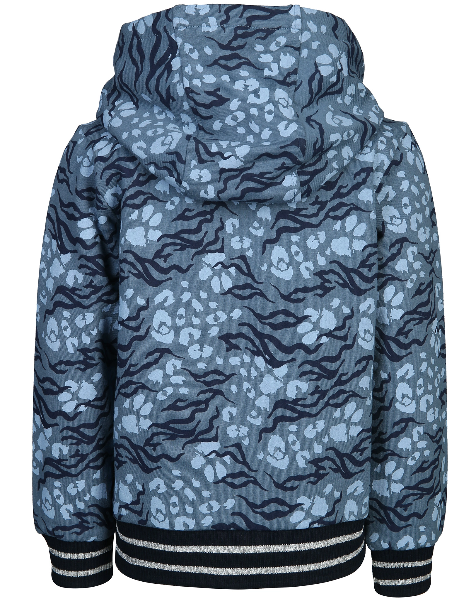 Kapuzen-Sweatjacke BRILLAR in blau