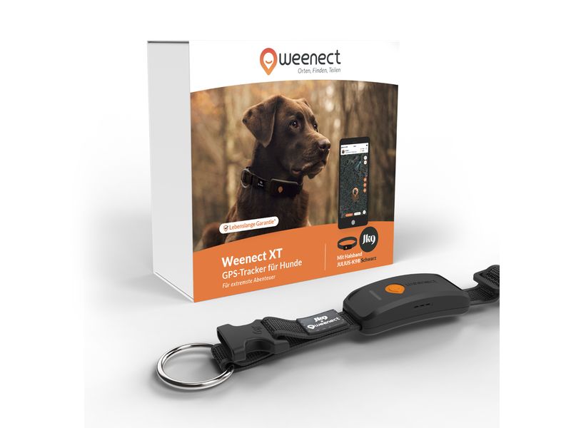 Weenect GPS-Tracker für Hunde XT mit Halsband schwarz Verstellbares Halsband mit Tracking-Funktion