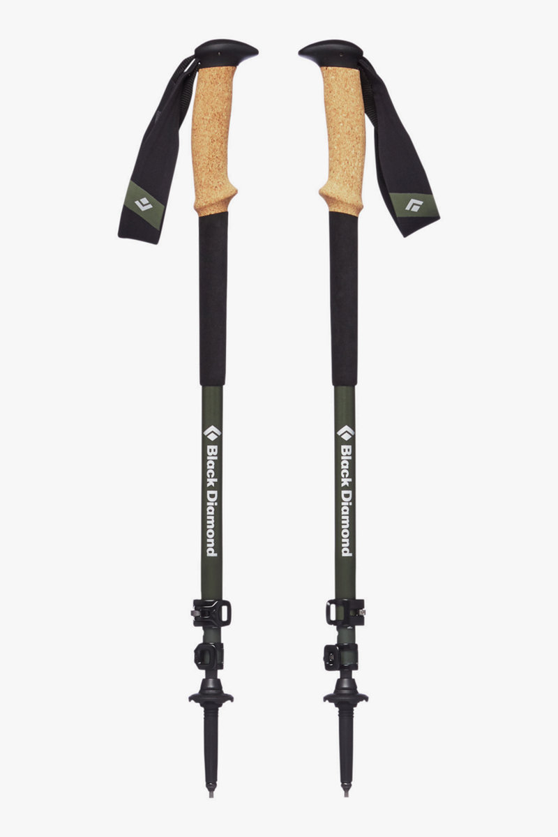 Black Diamond Alpine Carbon Cork Wanderstock