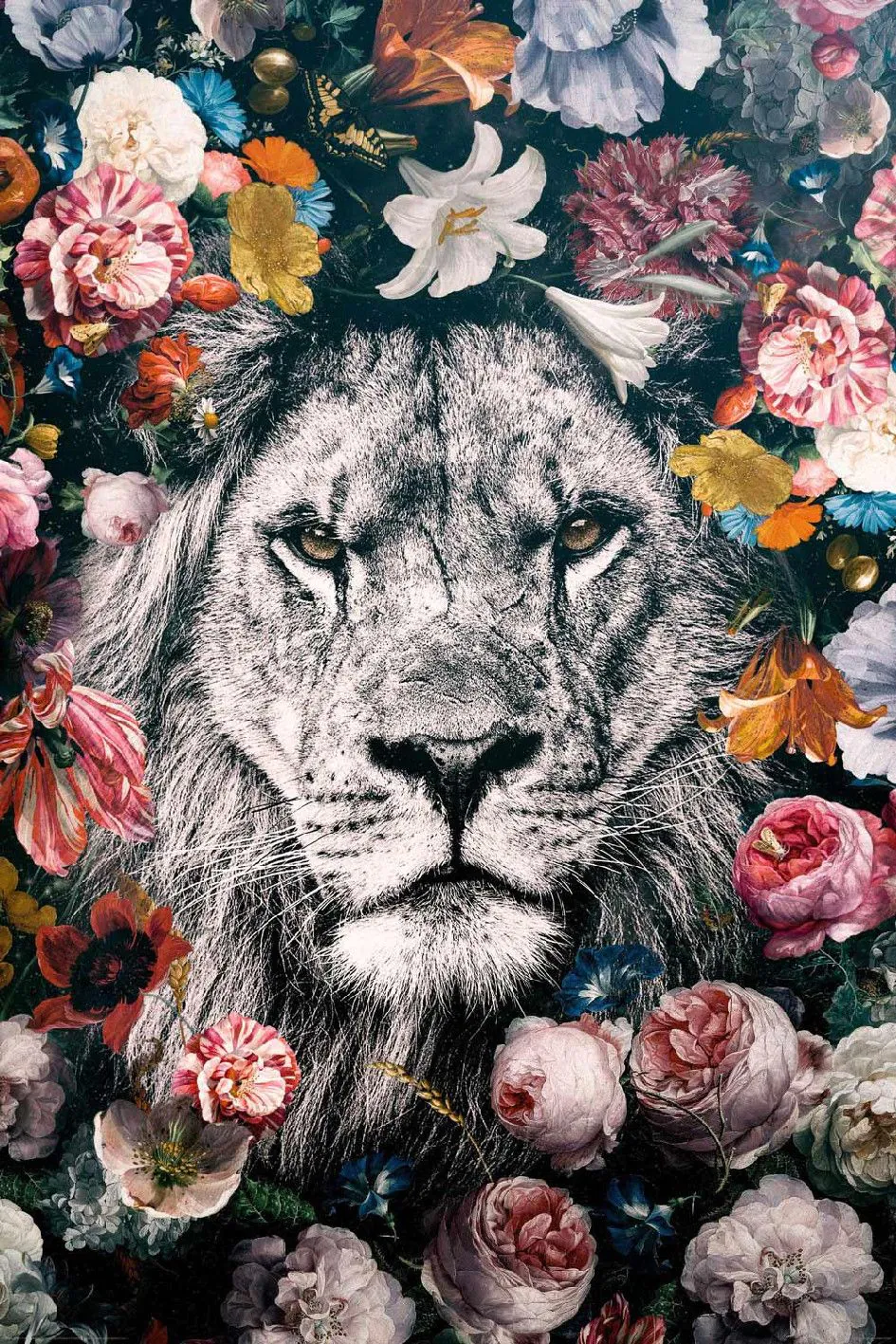 Poster Löwe, 61 x 91 cm