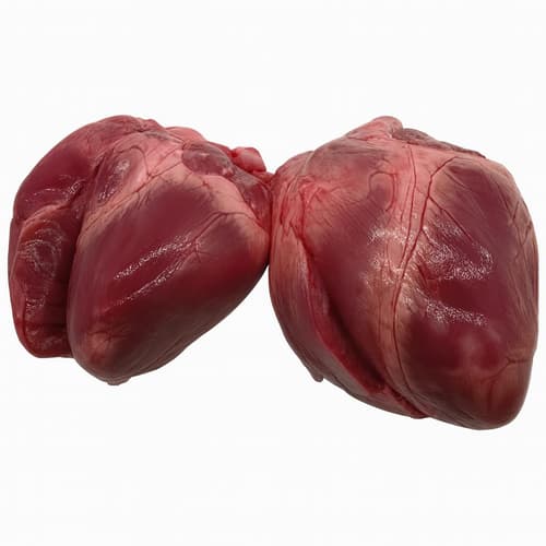 Landfleischerei Schmelzer Schweineherz