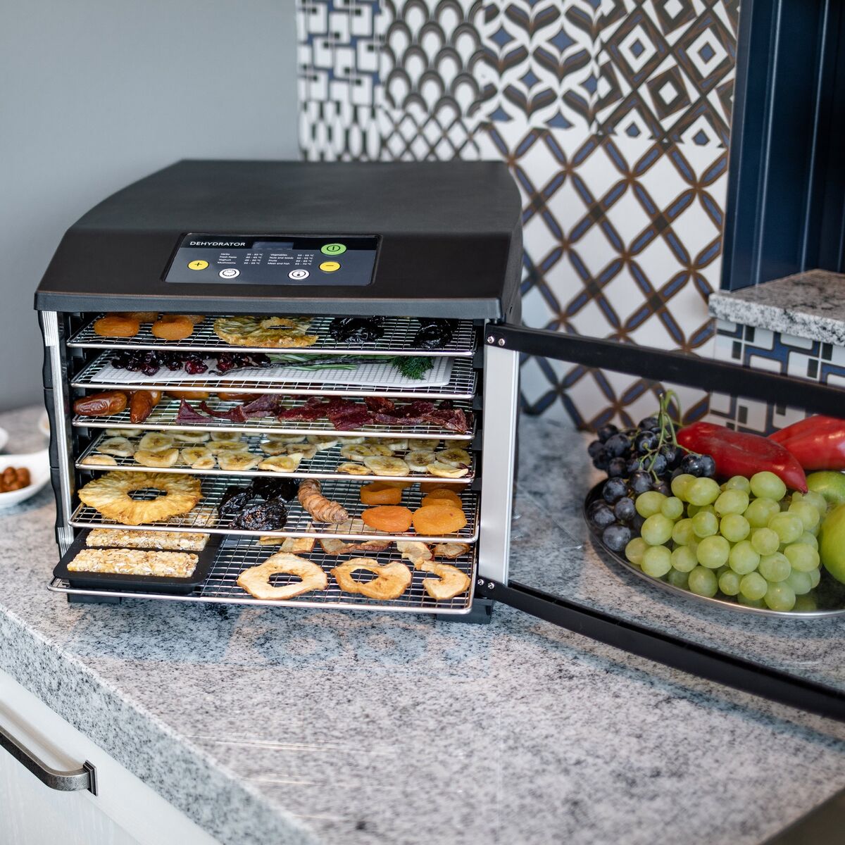 ED6 Dehydrator