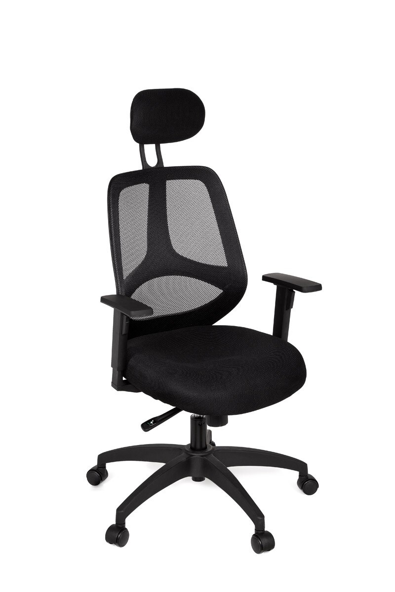 KADIMA DESIGN Ergonomischer Bürostuhl: Synchronmechanik, hochwertige Polsterung, höhenverstellbare Armlehnen, 120 kg Belastbarkeit.