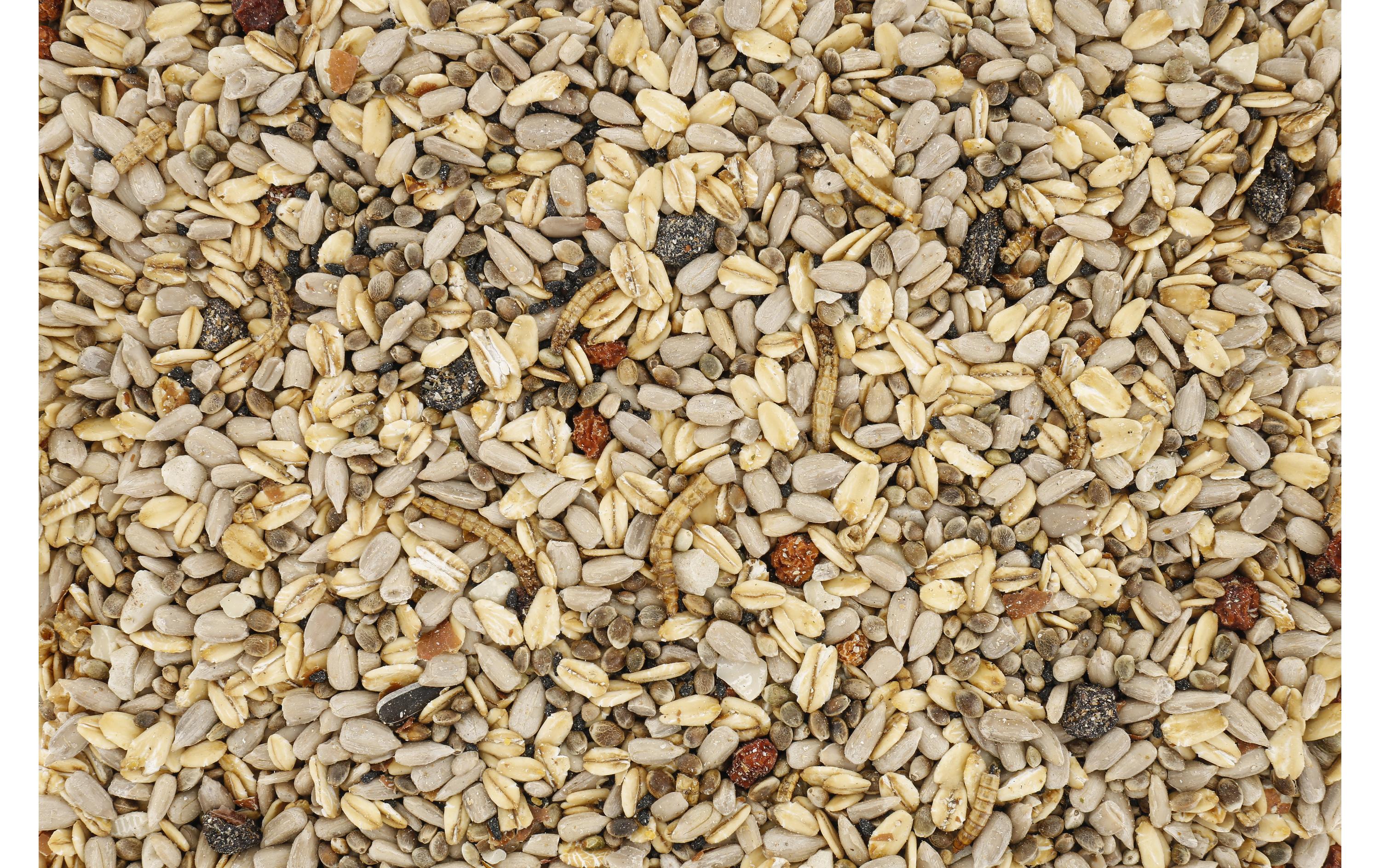Vogelfutter Wildvogelmischung Expert 5 kgMischung mit Walnüssen und Schwarzkümmel