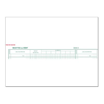Exacompta - Journal de caisse ou banque - 22 colonnes : 15 débits/7 crédits - 28 x 38 cm - 80 pages