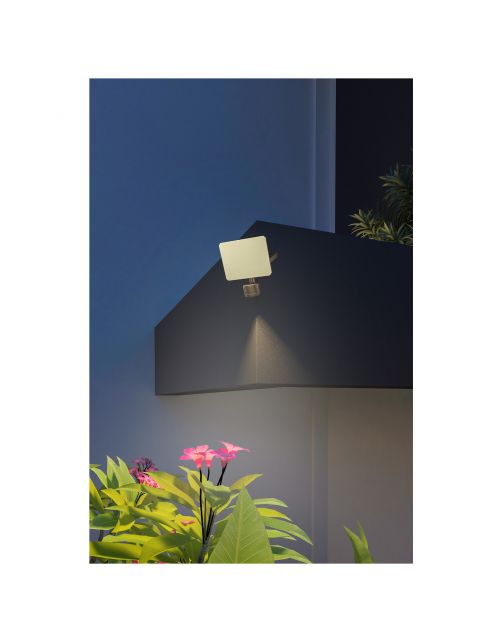 Calex Smart Outdoor Frameless Security Light - Tuinverlichting - 420 g Zwart 1 stuk 230v