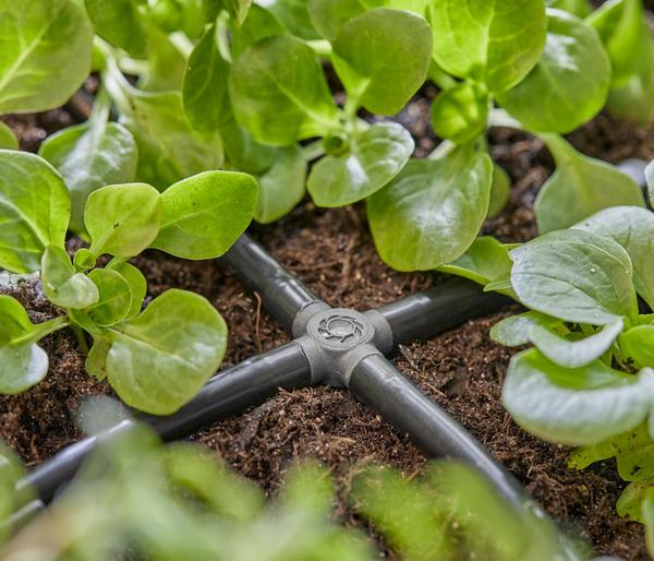 GARDENA Micro-Drip-System Kreuzstück, 3/16