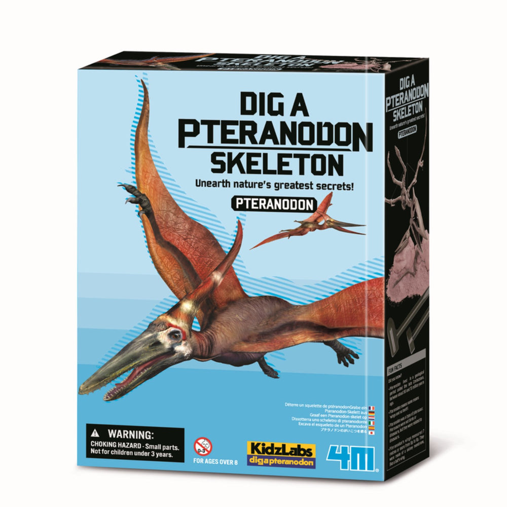 Køb 4M Udgrav Et Pteranodon-Skelet