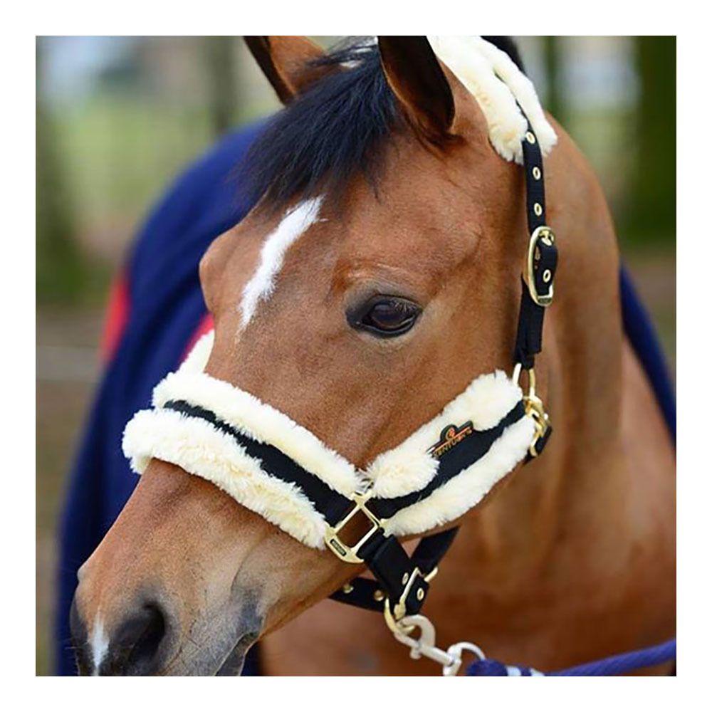 Kentucky NYLON MOUTON - Licol naturel