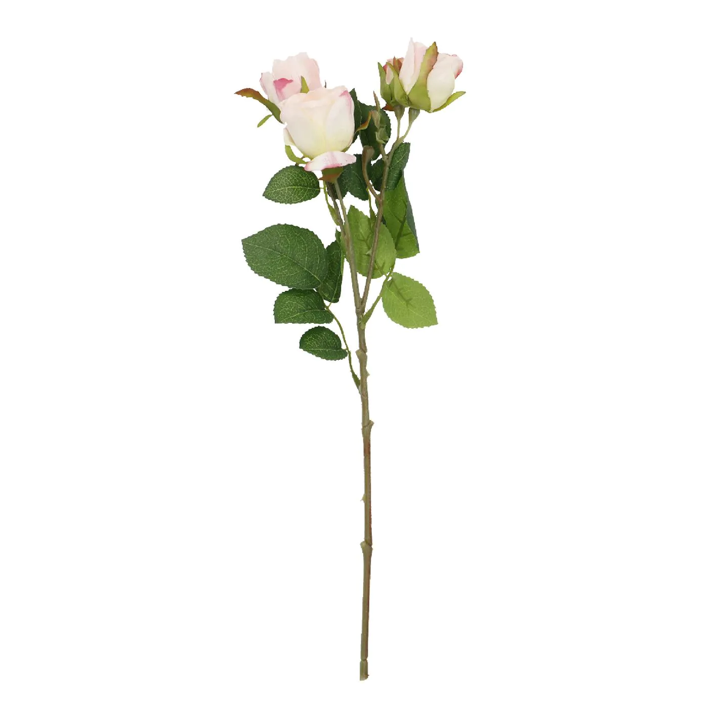 Rose Alina, 3 Blüten/rosa, 38 cm