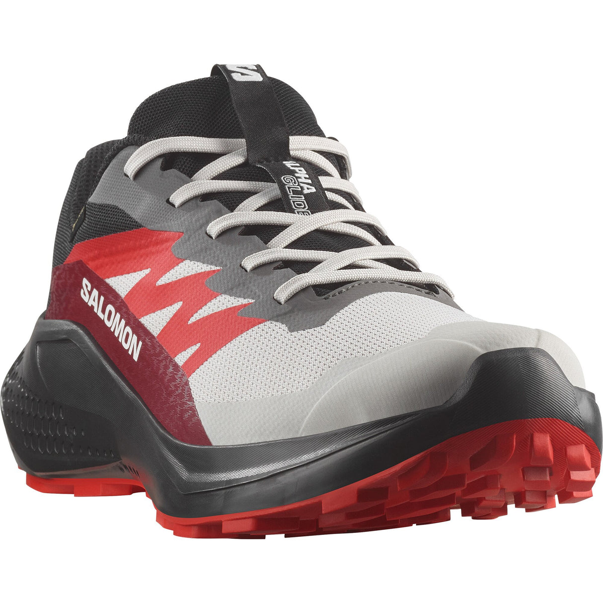 Salomon<br>Alphaglide GTX