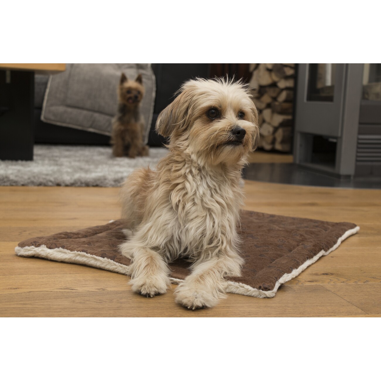 TrendPet Relax Kuscheldecke braun XS