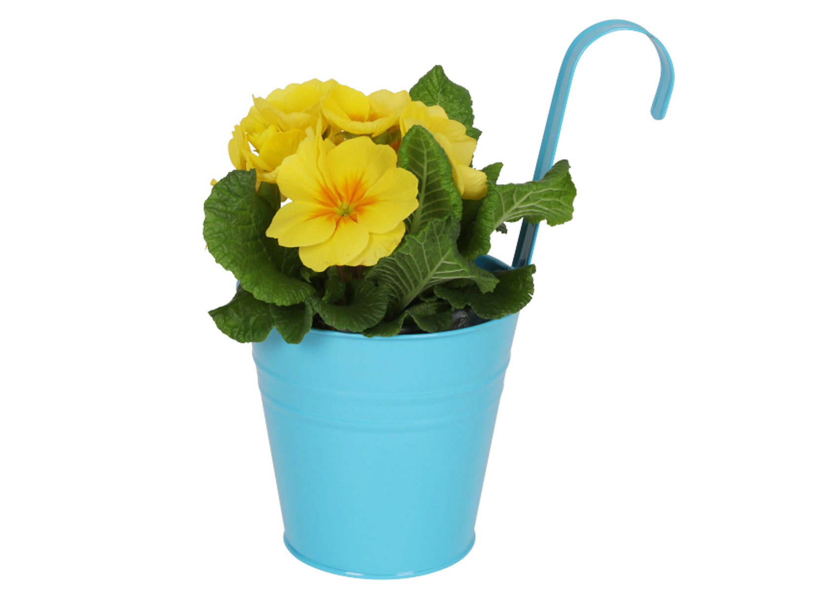 Blumentopf mit Haken 13x28cm Bunt
