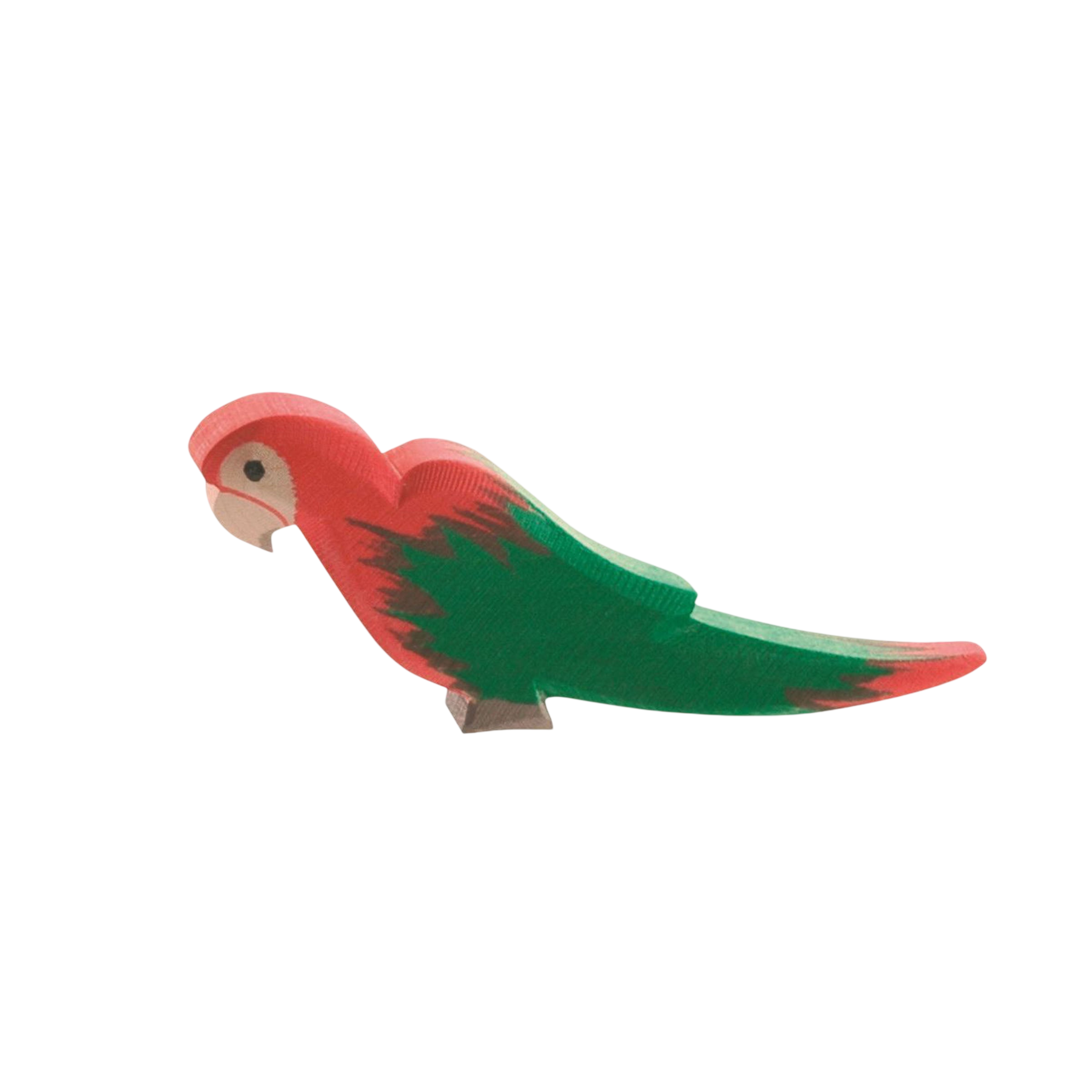 Ostheimer Papagei Rot
