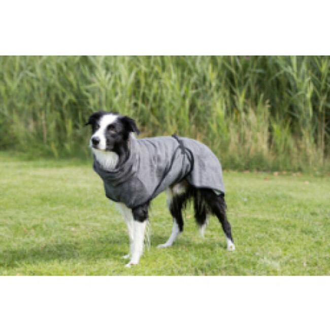 Peignoir de bain éponge gris pour chien