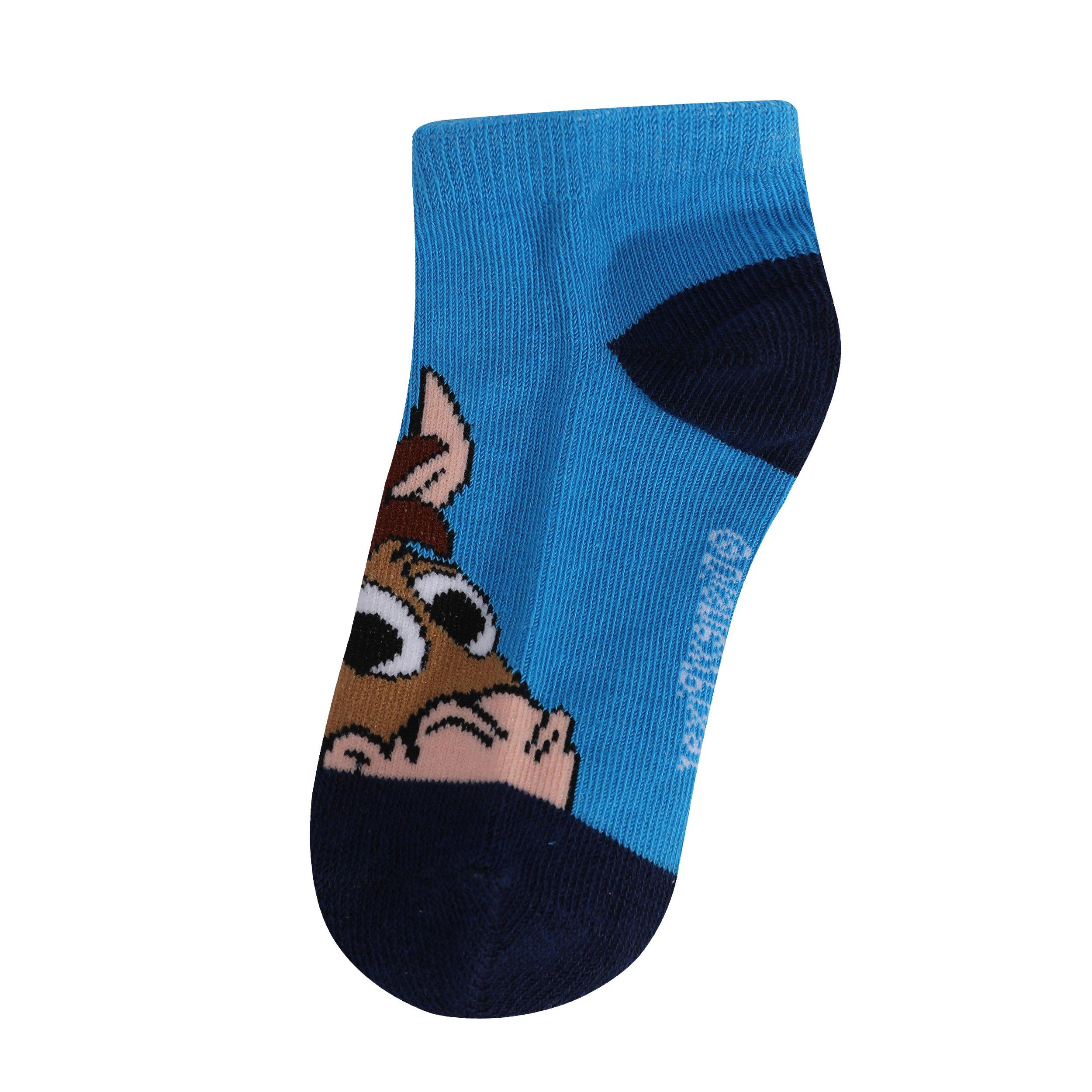 Character Trainer Sock 5pk Junior
