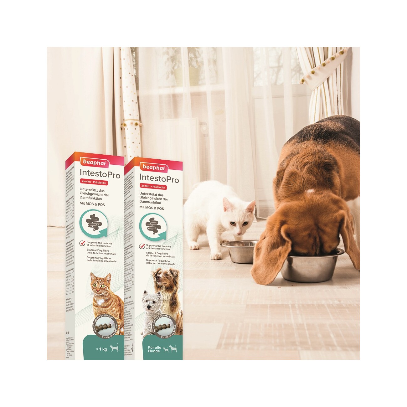 Beaphar IntestoPro Paste für Katzen 20 ml