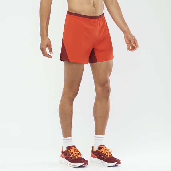 Short trail SALOMON CROSS 5'' SHORTS M FIERY CABERNET