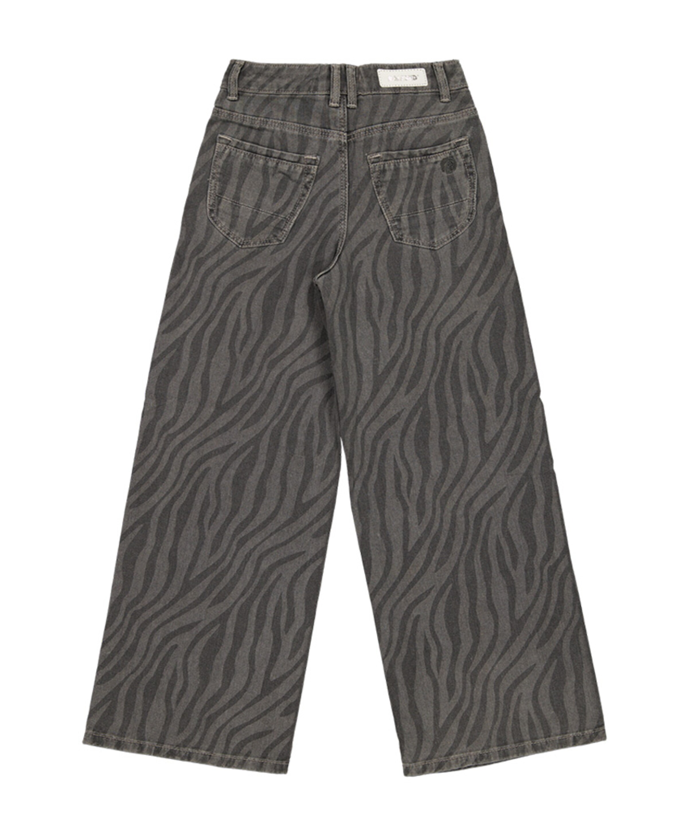 Raizzed Monaco Zebra meisjes jeans grijs