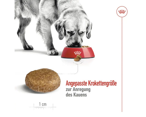 ROYAL CANIN Maxi Adult +5 droog hondenvoer, 15 kg