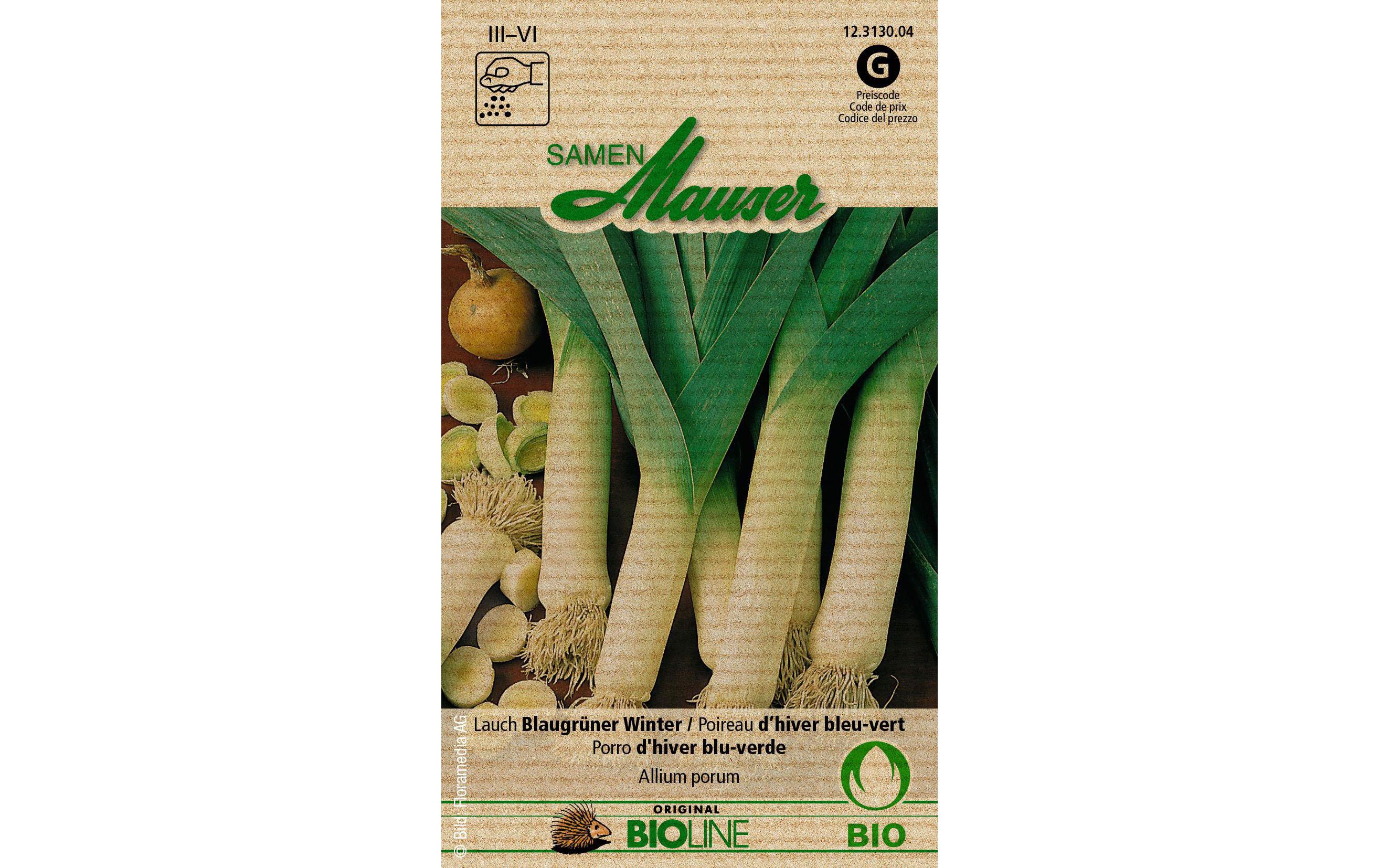 Samen Bioline Lauch Blaugrüner WinterGemüsesamen