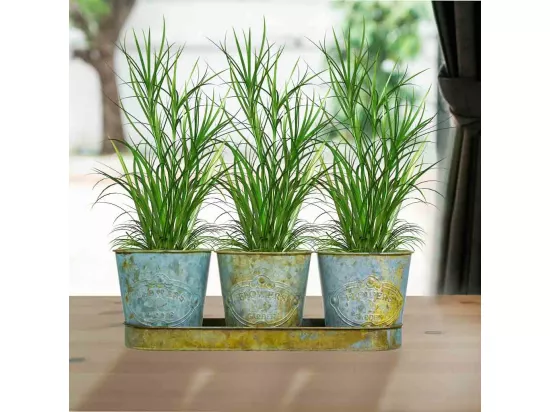 3 Cubos en métal et plateau tray verts
