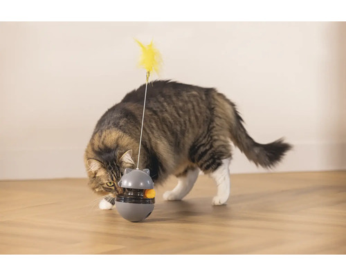 Beeztees Interactief Wibol Kattenspeelgoed, Intelligentiespeelgoed, Snackspeelgoed, Activiteitenspeelgoed