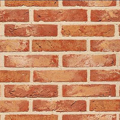 Brique Opus 21,5 x 10,2 x 6,5 cm Terca