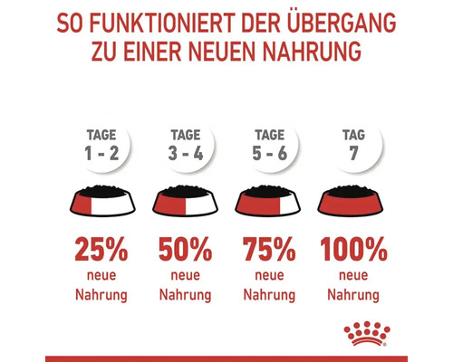 Royal Canin Hair & Skin natvoer voor katten in gelei, ter ondersteuning van een gezonde huid en een glanzende vacht, in gelei, 85 g