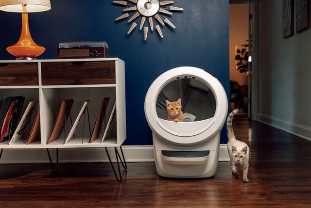 Whisker Litter-Robot 4 automatisk kattebakke