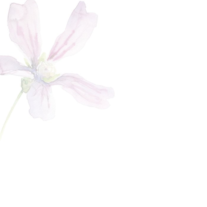 Michelle Dujardin | Ik denk aan je | Bloem