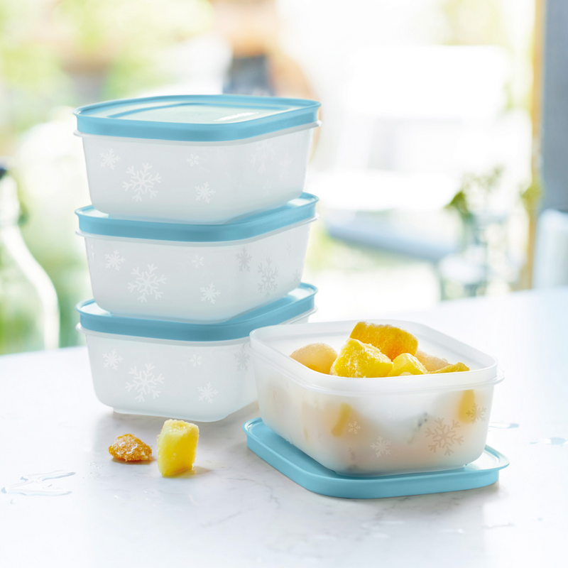 Eis-Kristall 450ml (4) Der Gefrierbehälter für eine Portion Suppe