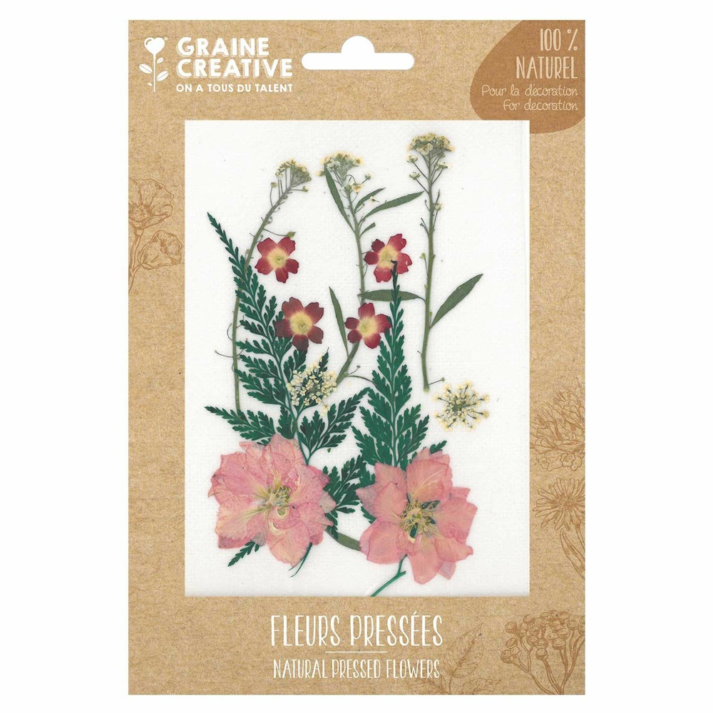 13 fleurs pressées - prairie rouge