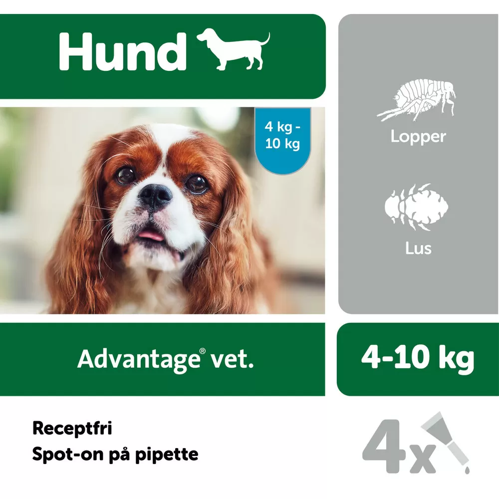 Advantage pour-on Vet hund, 4-10 kg