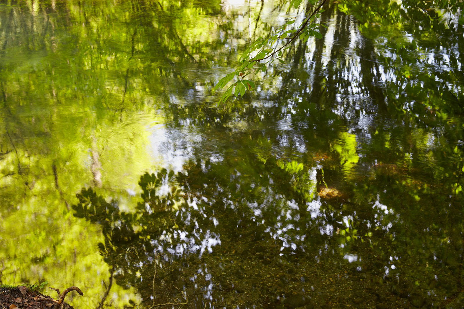 Enchanted Waters II by Juraj Lipscher - Limited Edition. Edition of: 100. Signed.