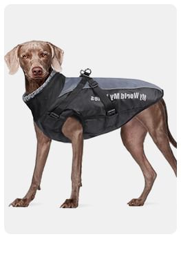 Bubbluff - Polar Fleece Pet Top