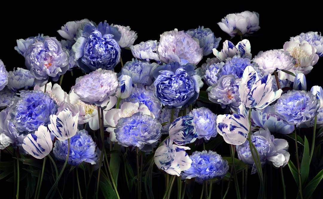 Peonies and Tulips II by Juan Fortes - Open Edition.