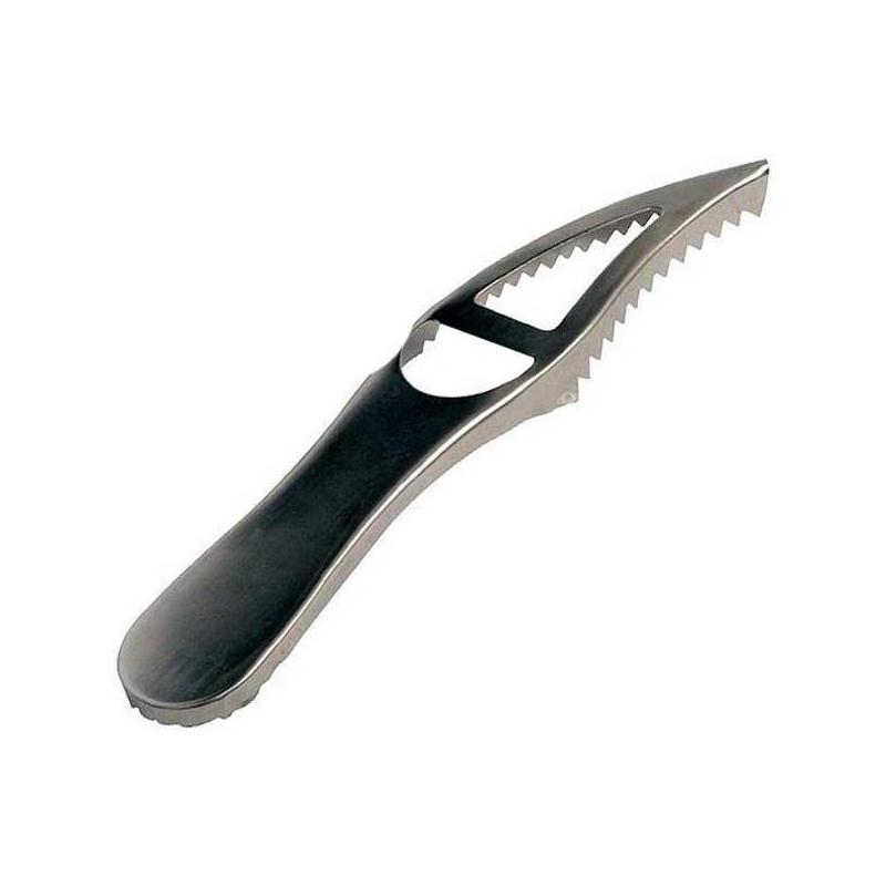 Ecailleur A Poissons Amiaud Inox