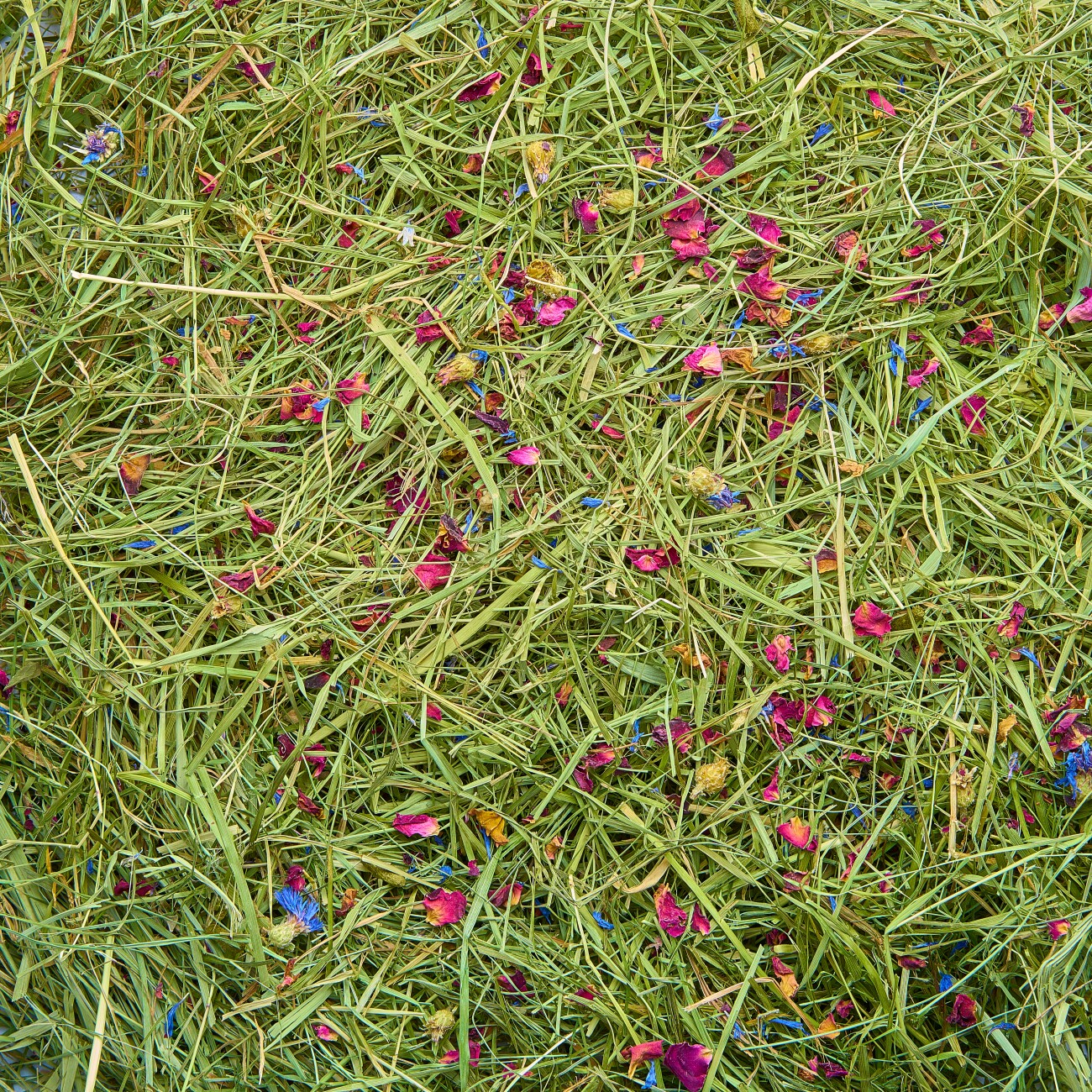 Naturhof Schröder Weserheu mit Blüten, locker gestopft 500 g
