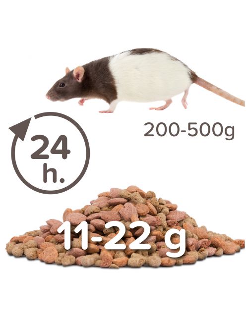 Beaphar Care Plus Rat - Rattenvoer