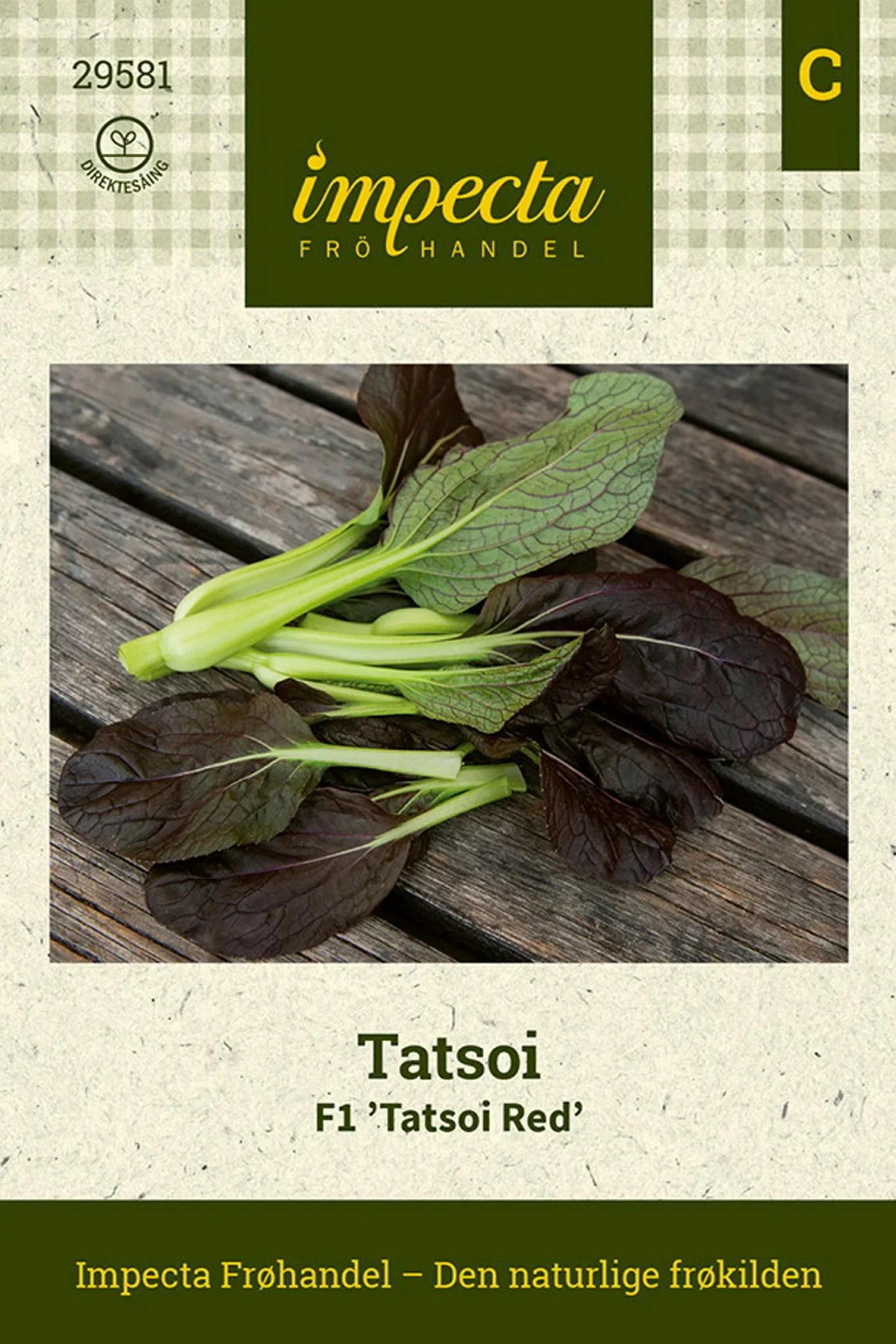 Brassica rapa F1 'Tatsoi Red' Tatsoi F1 'Tatsoi Red'