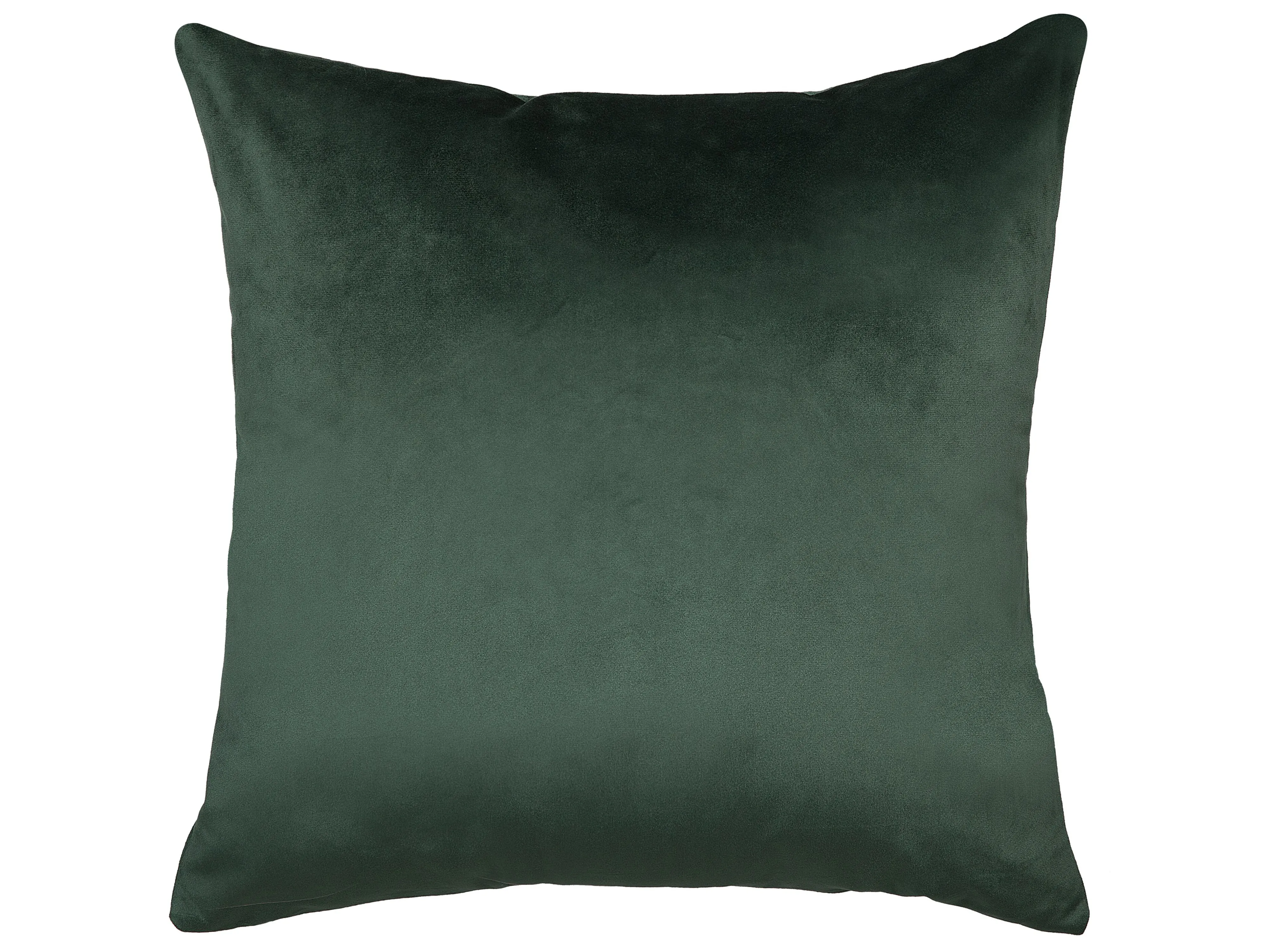 Set van 2 sierkussens ASTILBE Fluweel 45 x 45 cm Donkergroen bladpatroon