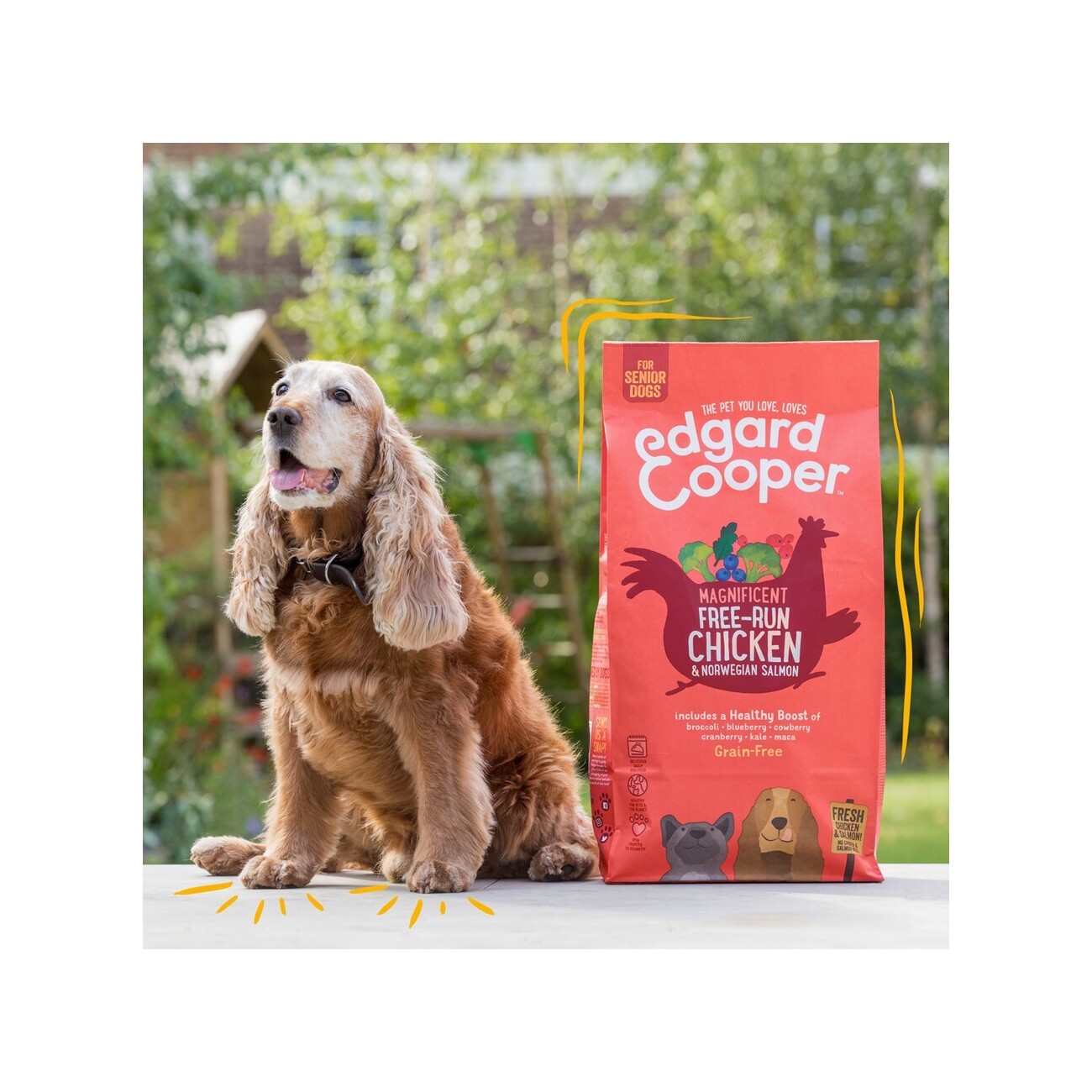 Edgard & Cooper Herrliches Freilaufhuhn & Norwegischer Lachs Senior 12 kg
