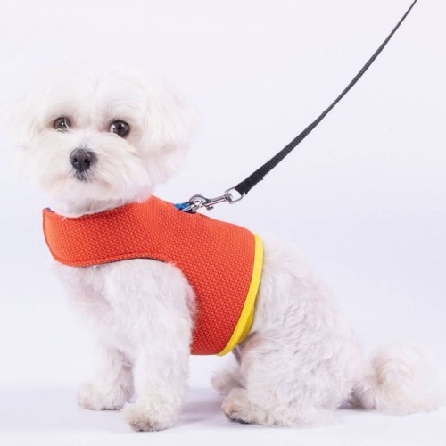 Coleira para cães Yuki, laranja