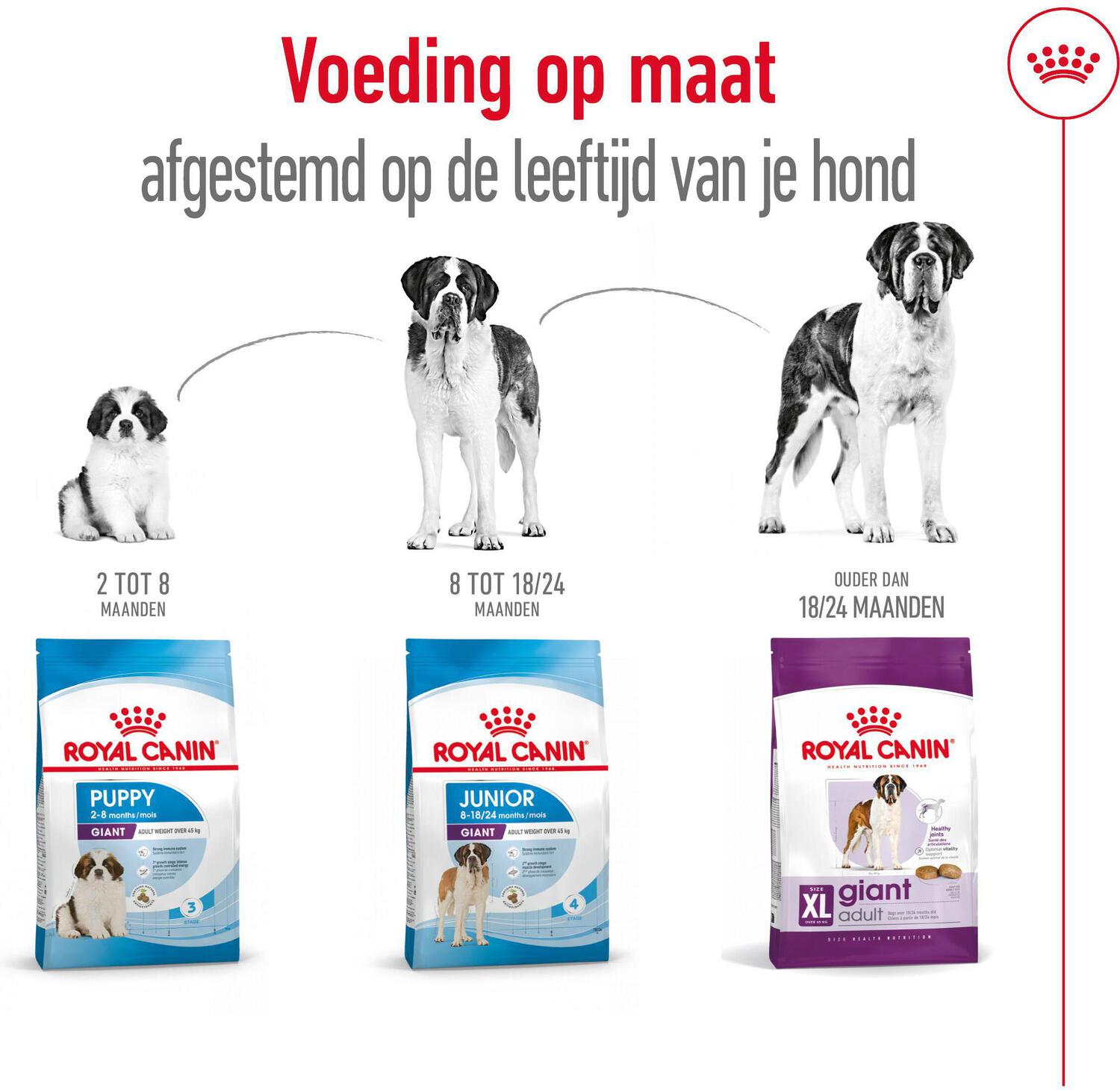 Royal Canin hondenvoer Giant adult 15 kg