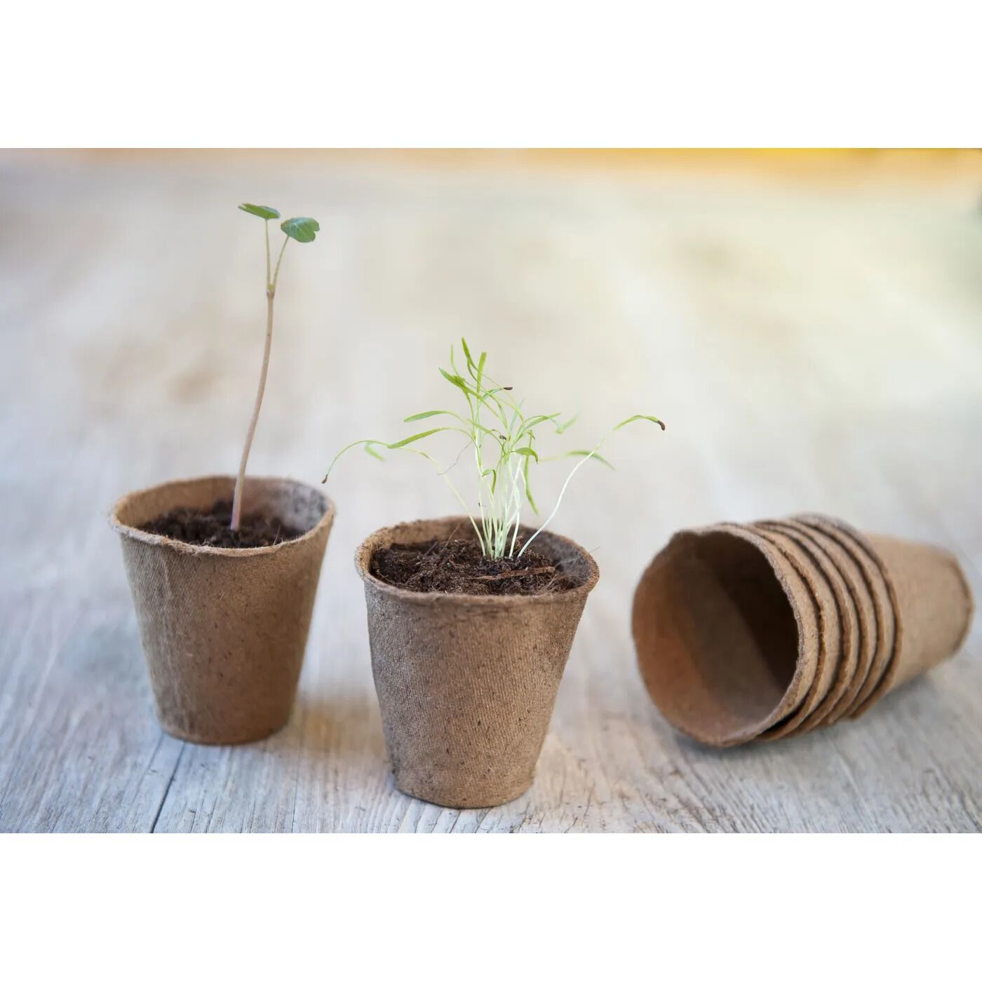 Nature - Turfpotjes - 18 Stuks - 26x8.5x26 cm