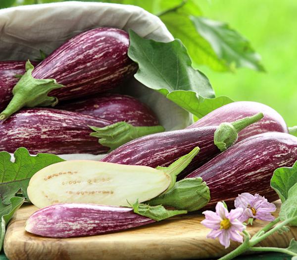 Dehner Gourmet Garten Tigeraubergine