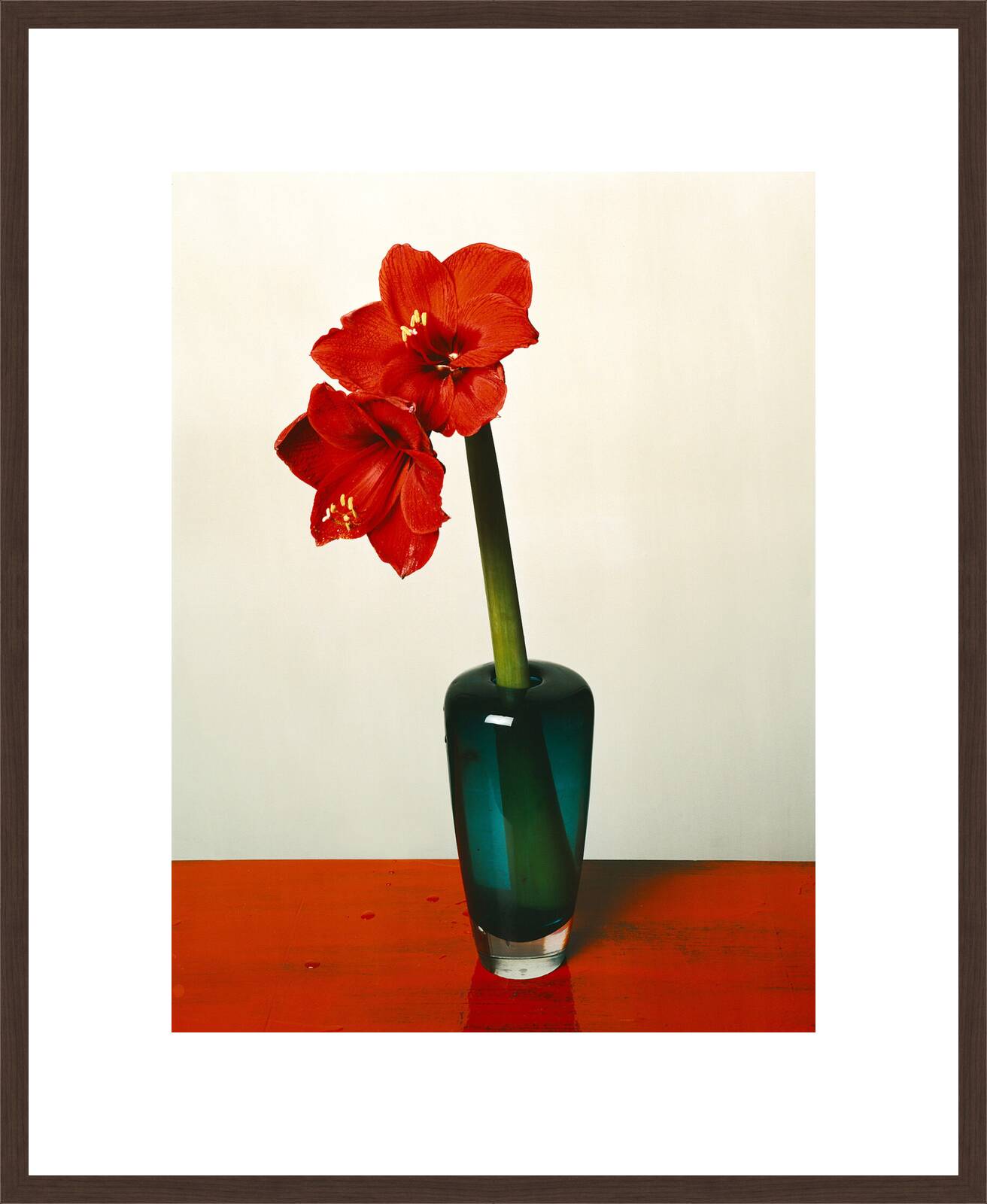 Amaryllis 2 by Kris Scholz - Limited Edition. Edition of: 100. Signed.