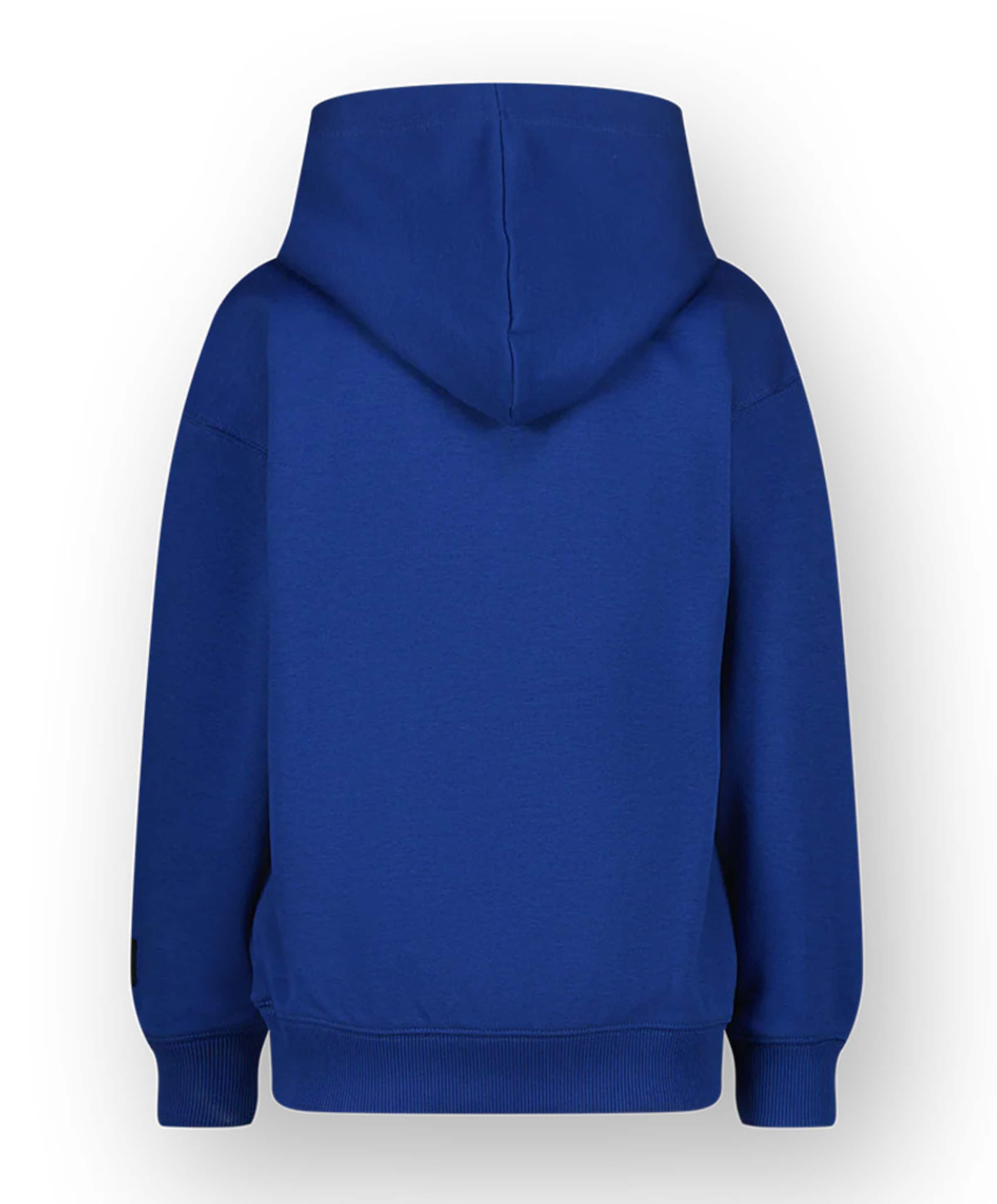 Raizzed Jongens hoodie blauw