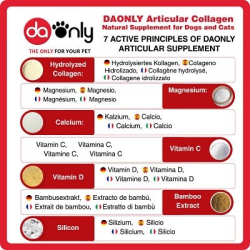 Anti-inflamatório + Levedura de Cerveja Sabor Frango Daonly